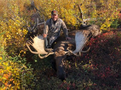 wta_587_moose2021
