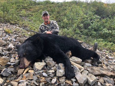 wta_588_TICC6L_D.WorrelBLKBear