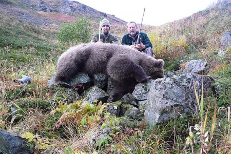 wta_588_X8JVKD_067_grizz_brwnbr-4