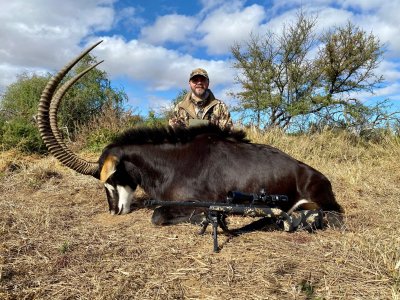 wta_590_1 Sable