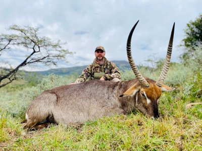 wta_590_2 Waterbuck