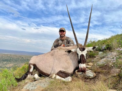 wta_590_5 Gemsbuck