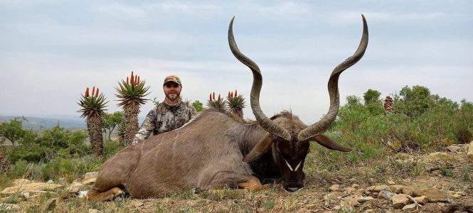 wta_590_6 Kudu