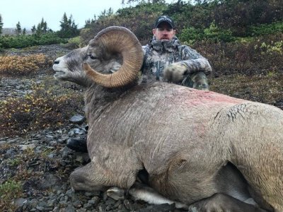wta_619_19 ram