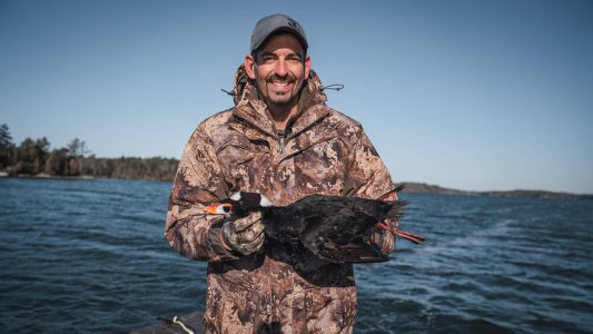 wta_620_DSC06542 Surf Scoter (1)