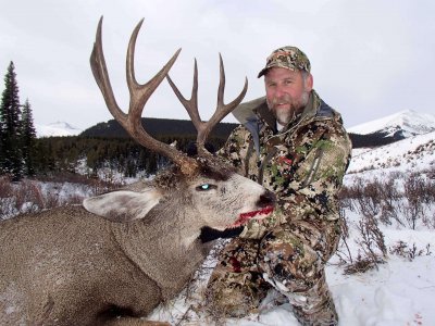 wta_622_2HVJAF_muledeer2.17