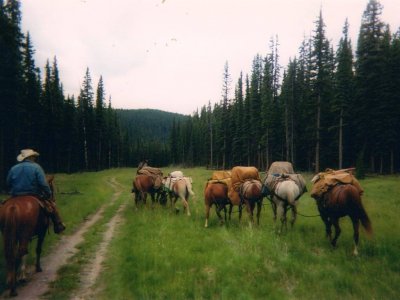 wta_622_Timberline-Guiding-Alberta-Canada-Hunting9