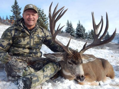 wta_622__featured_M1SV9N_muledeer5.17