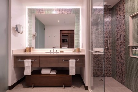 wta_625_Botanika_2-Queen-Bed-Guest-Room-Bathroom_6720x4480