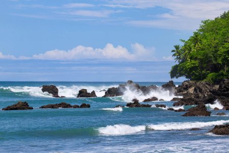 wta_625_Botanika_Backwash-Bay_5184x3456