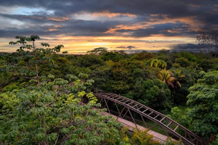 wta_625_Botanika_Bridge-View-Sunset_6720x4480