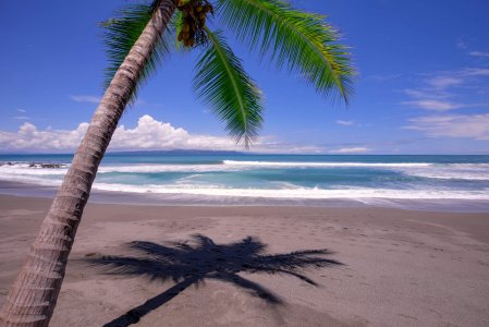 wta_625_Botanika_Golfo-Dulce-opt_6720x4480 (1)