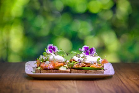 wta_625_Botanika_Tierra_Avodcado-Salmon-Toast_6720x4480