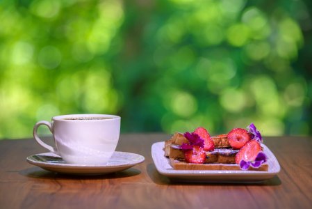 wta_625_Botanika_Tierra_Breakfast-Toast_6720x4480