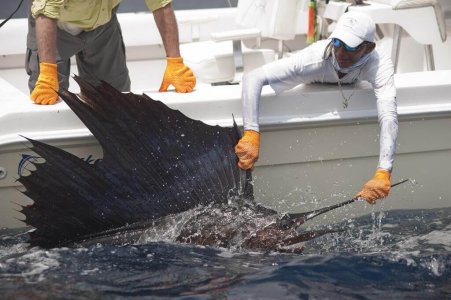 wta_625_L00JK9_182_Fishing(3)