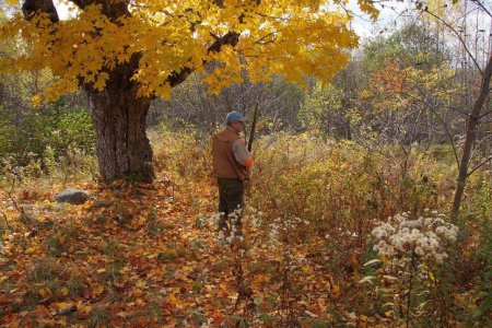 wta_627_F3DTE4_BirdHunting013
