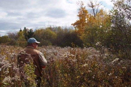 wta_627_TPAEZK_BirdHunting012