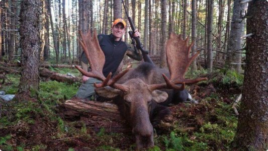 wta_639_J1GWL6_Nathan_2014_Moose-1203-800-600-80-rd-255-255-255