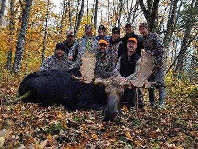 wta_639_moose1