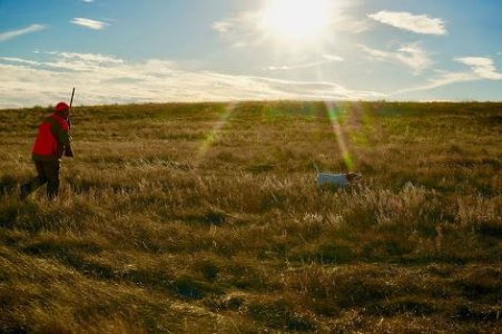 wta_644_68EW1R_point-sun