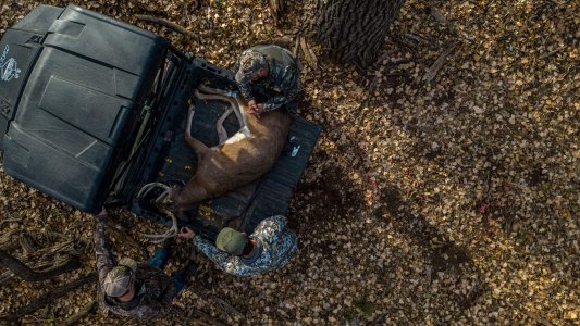 wta_649_DJI_0979