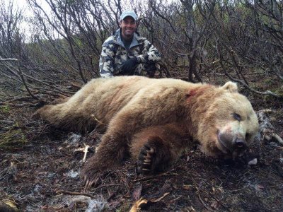 wta_668__featured_K5O155_foa-2014-griz-Glen8ft