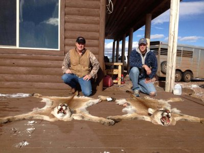 wta_676_IV89HR_Cougar4