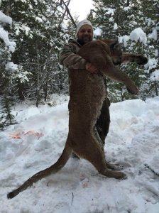 wta_676_M5HS9N_210_MTNLion(2)