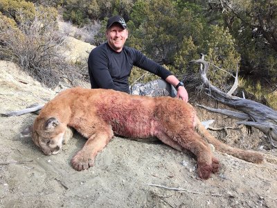 wta_676_NH0ED8_210_MTNLion(6)