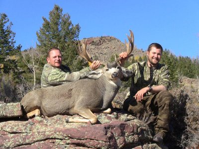 wta_678_1QV6WS_210_MuleDeer(10)