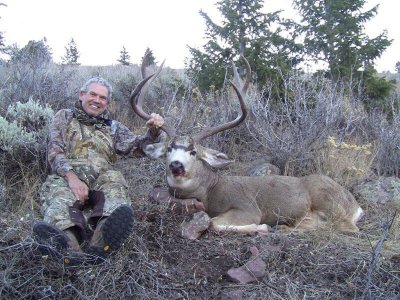 wta_678_58WOZ4_210_MuleDeer(11)
