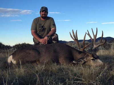 wta_678_ICE3D4_2016muledeer
