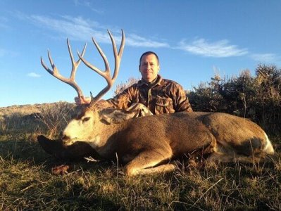 wta_678_M63QIL_Muledeer2016