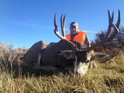 wta_678_P5PR8V_muledeer20163