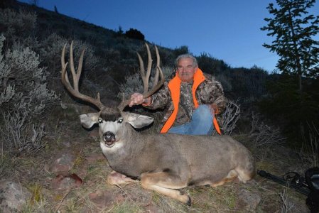 wta_678_R2GE51_210_MuleDeer(4)
