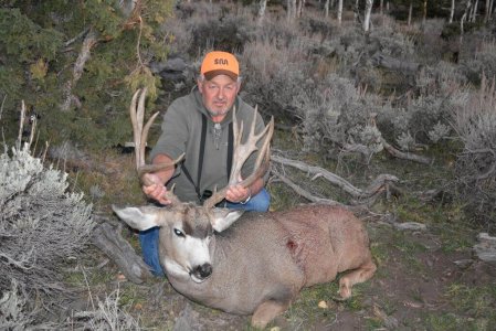 wta_678_VPV2VG_210_MuleDeer(6)