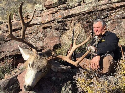wta_678_VR4YML_Muledeer22016