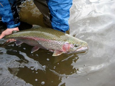 wta_684_ZQSBSB_213_Fishing(16)