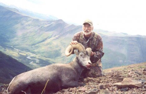 wta_688_AK81E7_217_StoneSheep(8)