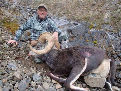 wta_688_CTJBD3_217_StoneSheep(4)