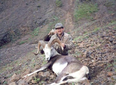 wta_688_FSIW08_217_StoneSheep(9)
