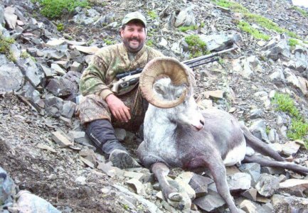 wta_688_RY7TWG_217_StoneSheep(1)
