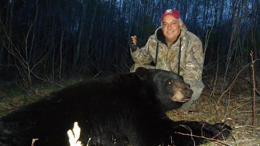 wta_692_BVWZEH_220_BlackBear(3)