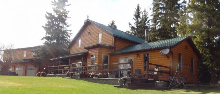 wta_692_S5NKYB_220_BlackBear(5)