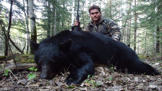 wta_692__featured_BTG3AJ_220_BlackBear(2)