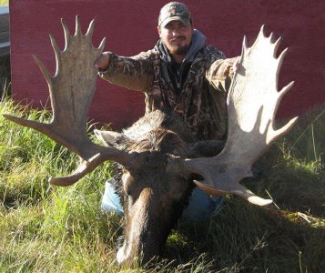 wta_694_VL12U2_221Moose(8)