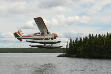wta_695_Beaver Low Flying