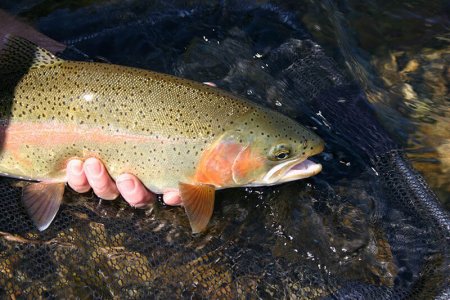 wta_696_F6E5NK_222_Fishing(4)