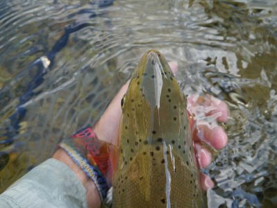 wta_696_JQH1SH_222_Fishing(3)