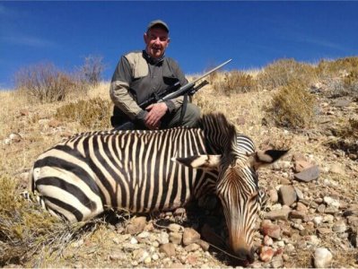 wta_699_DCPBGX_ZebraChipNewell
